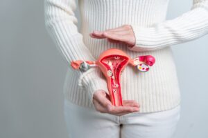 Torso of a Woman in a White Sweater and Pants Holding a 3D Model of a Uterus in Front of Her Stomach